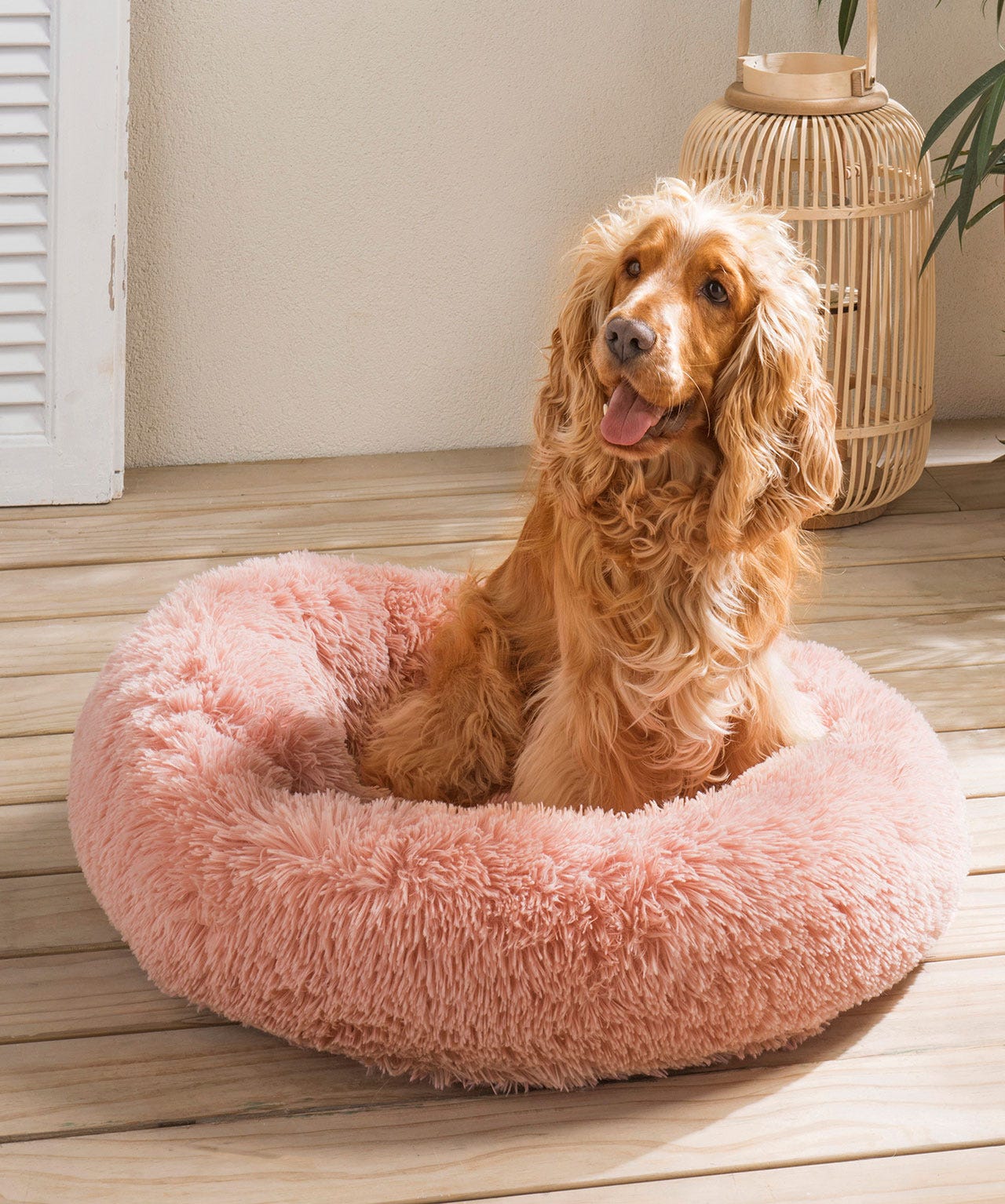 Coussin peluche pour animaux