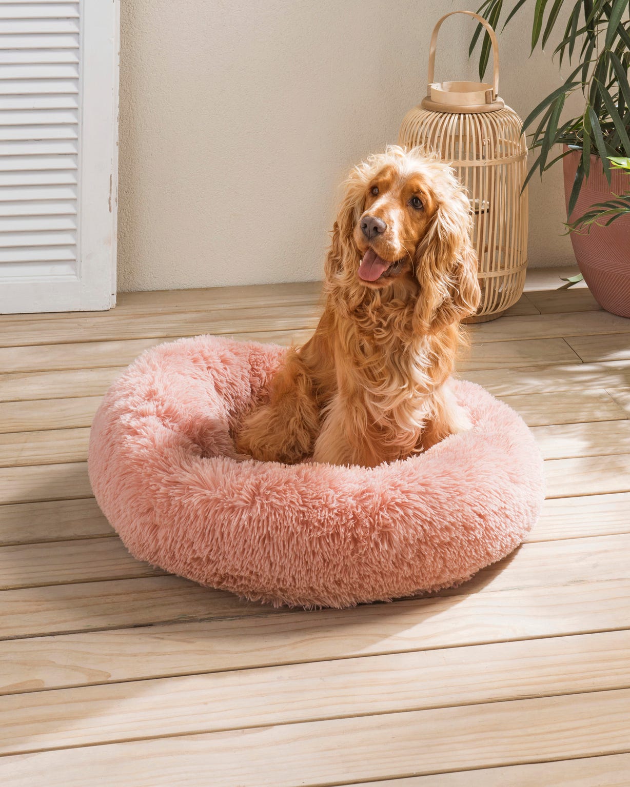 Coussin peluche pour animaux