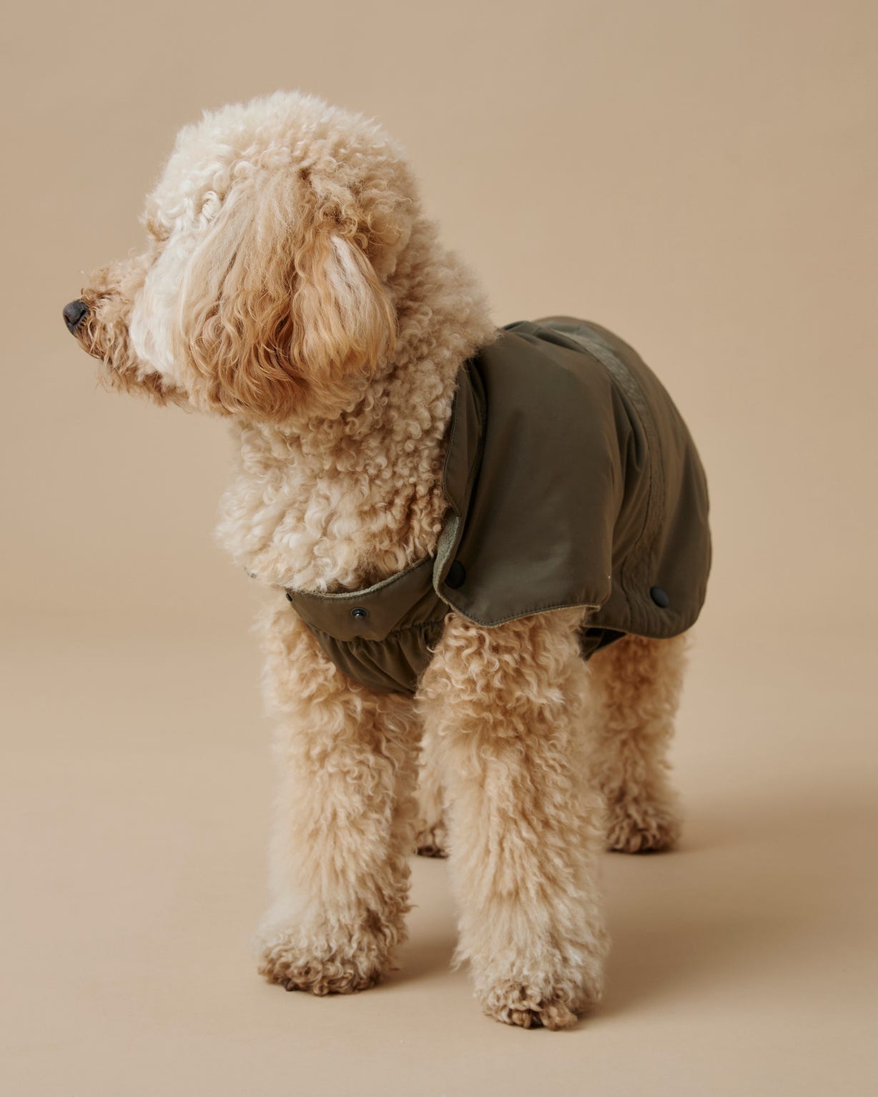 Manteau pour chien RainProtect by Damart