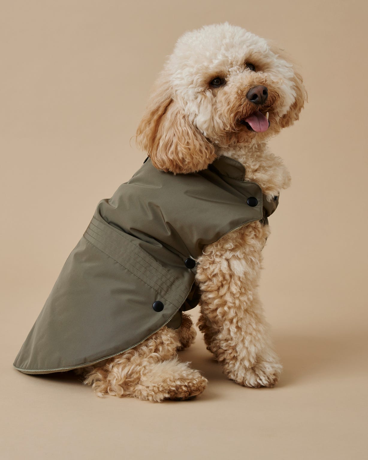 Manteau pour chien RainProtect by Damart