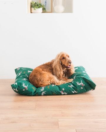 Coussin anti puces et anti tiques pour chien et chat