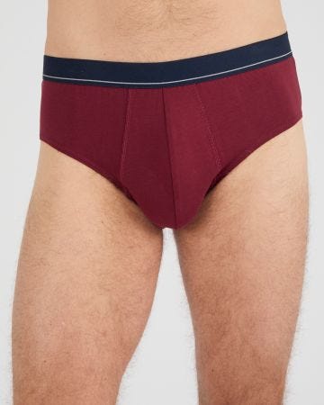 Lot de 3 slips fermés coton biologique majoritaire