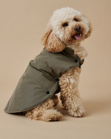 Manteau pour chien RainProtect by Damart