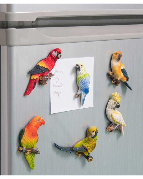Lot de 6 magnets perroquets
