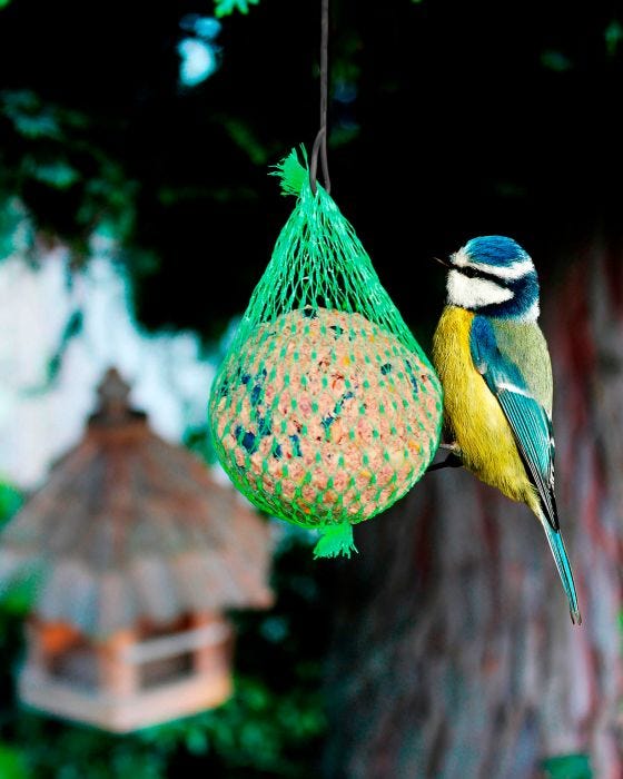 Lot de 6 boules de graisse pour les oiseaux - Aucun 