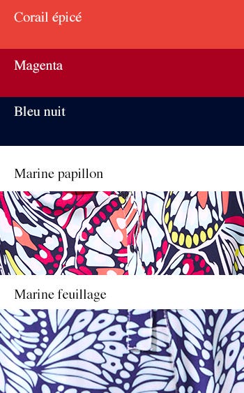 Papillon-03