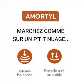 amortyl