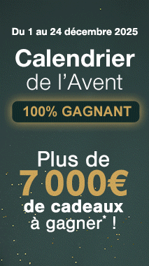 20251201_ZTG_XMAS_PROMO_213x380_Optim